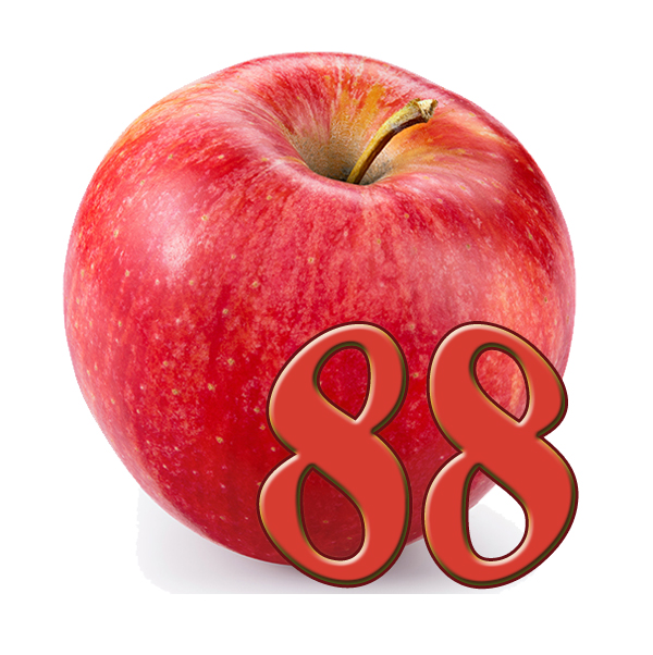 Manzana C-88